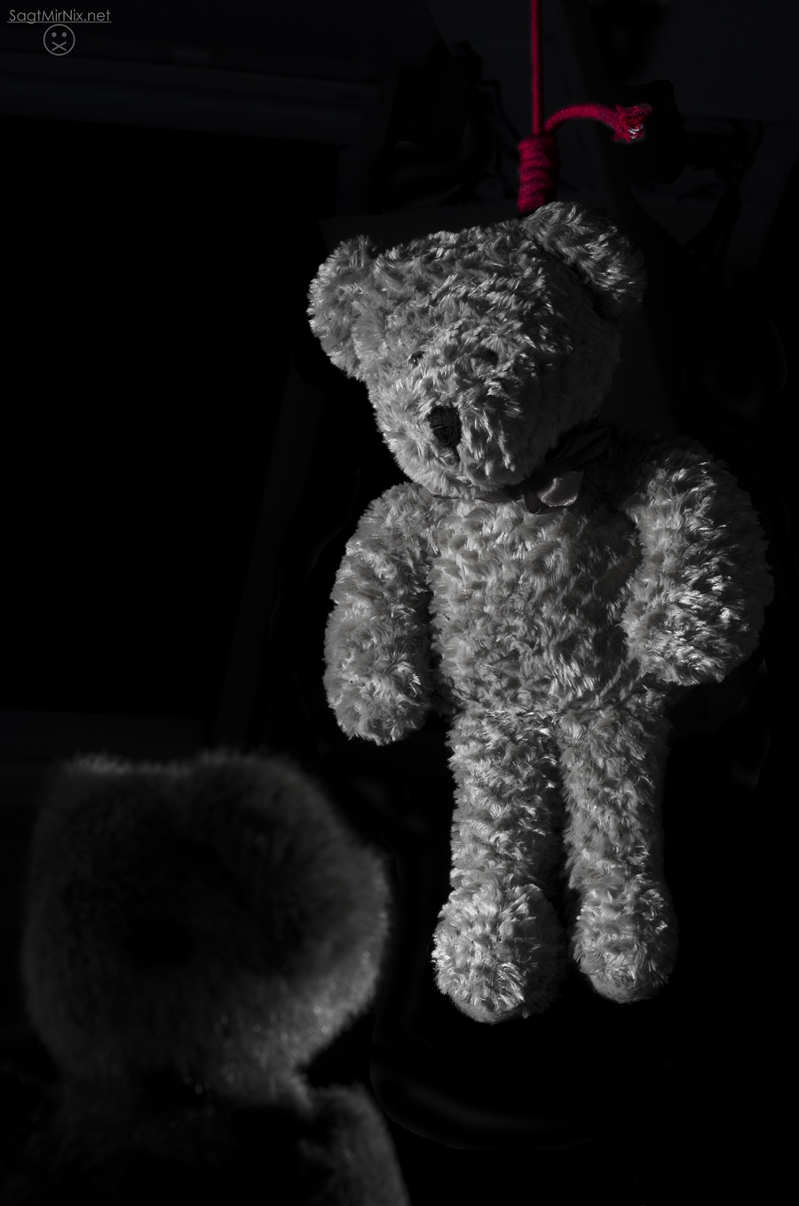 Armer Teddy...
