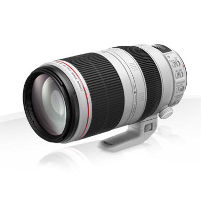 Canon EF 100-400mm f/4.5-5.6L IS II USM (© Canon)