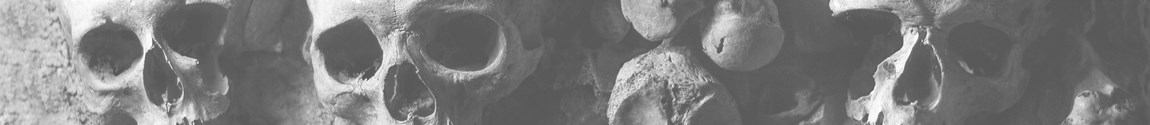 Alle Artikel zum Thema Stillleben (Portfolio) Stillleben (Portfolio)